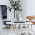 DesignUnited-Inderhald-July2023©KateDarkins-36